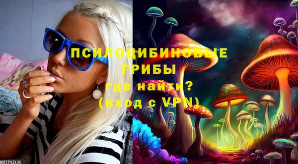 герыч Арсеньев