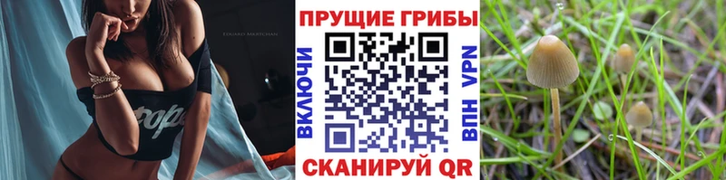 kraken зеркало  Верхотурье  Галлюциногенные грибы мухоморы  закладки 