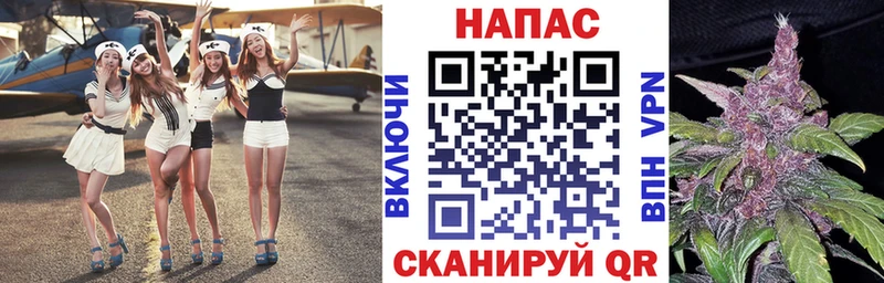 как найти   Верхотурье  Шишки марихуана гибрид 